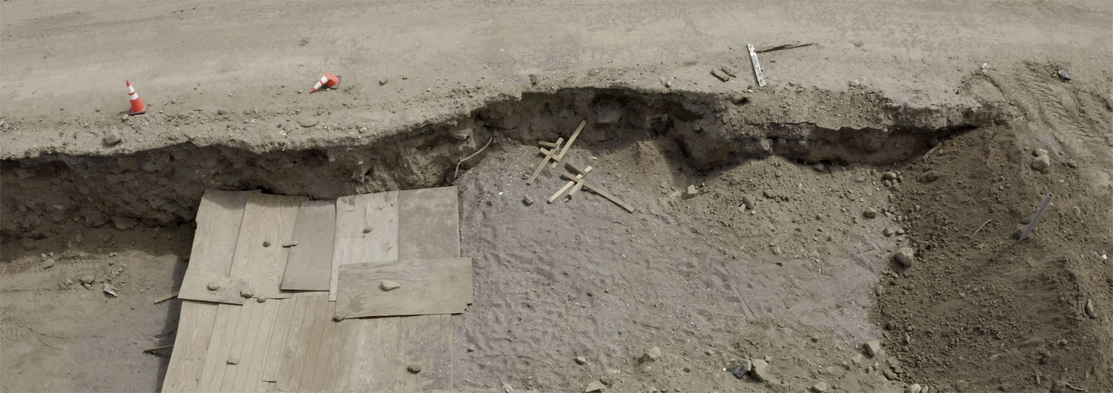 Common grave on Hart Island photo credit Sean Vegezzi