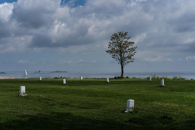 Can an Island Off the Bronx With One Million Graves Become a City Park?