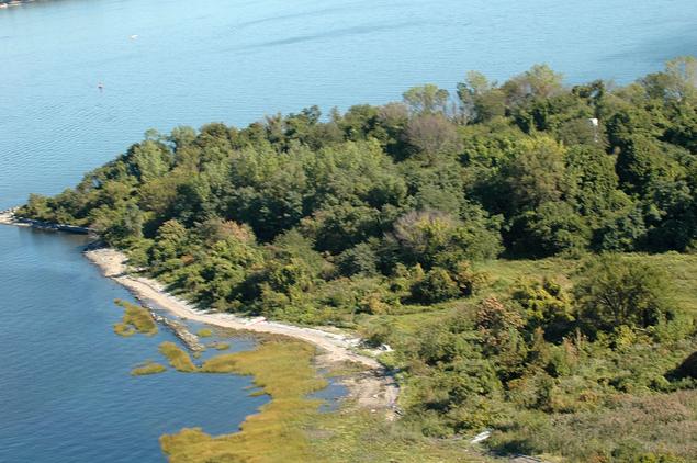 Hart Island Natural Ecology